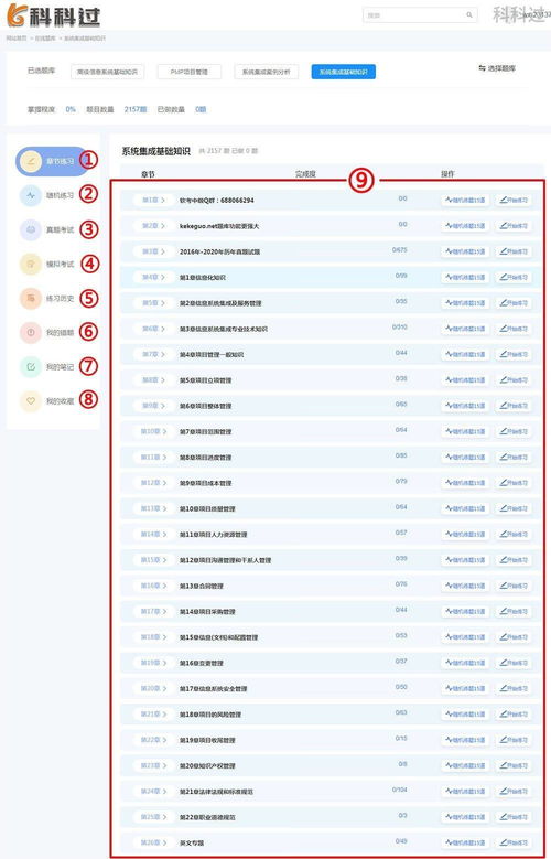 信息系统集成服务 系统集成项目管理工程师的核心领域